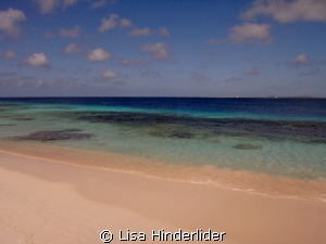 The Beautiful Blues of Bonaire. by Lisa Hinderlider 